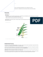 The Sciatic Nerve - Course - Motor - Sensory - TeachMeAnatomy