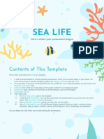 Sea Life: Here Is Where Your Presentation Begins