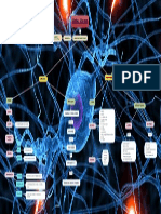 SISTEMA NERVIOSO Cuadro Sinóptico