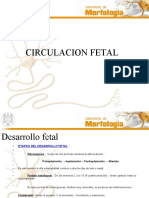 Circulacion Fetal