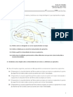 Ficha de Trabalho sobre Sismos e Estrutura Interna da Terra