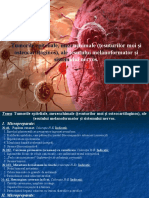 5.tumorile Epiteliale Mezenchimale Țesuturilor Moi Și Osteocartilaginos Ale Ţesutului Melanoformator Şi Sistemului Nervos