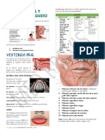 6.3 Fosa Oral y Órgano Del Gusto