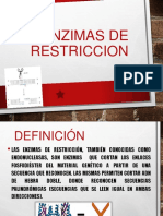 Enzimasderestriccion