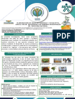 Eucalipto y Naranja. SdeI Tecnobioma 1