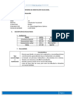 OV. Modelo de Informe