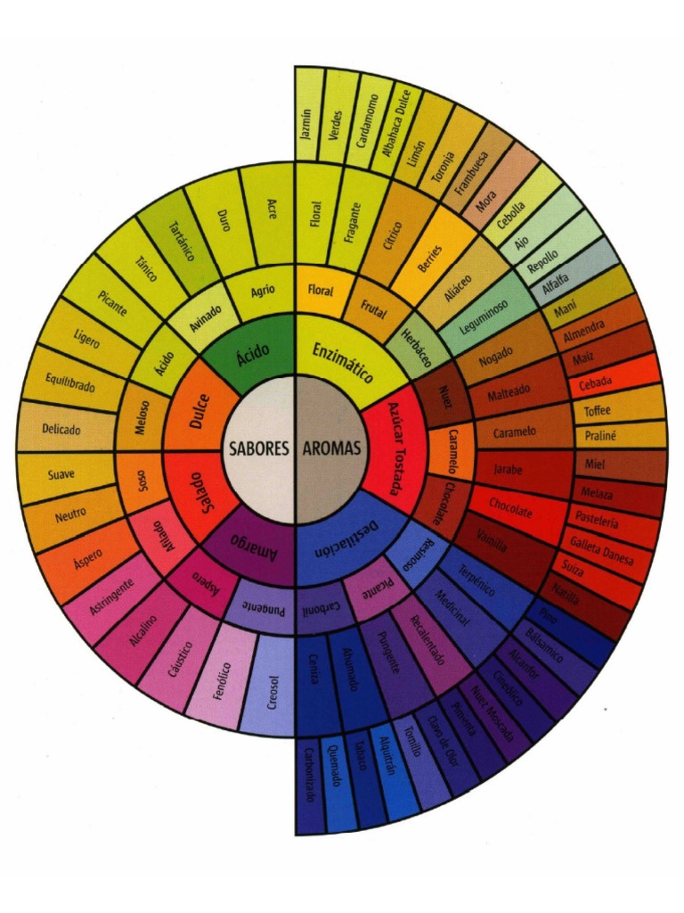 Rueda de Sabor Del Catador de Cafe | PDF