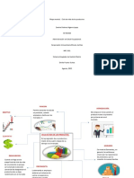 Ciclo de Vida de Los Productos