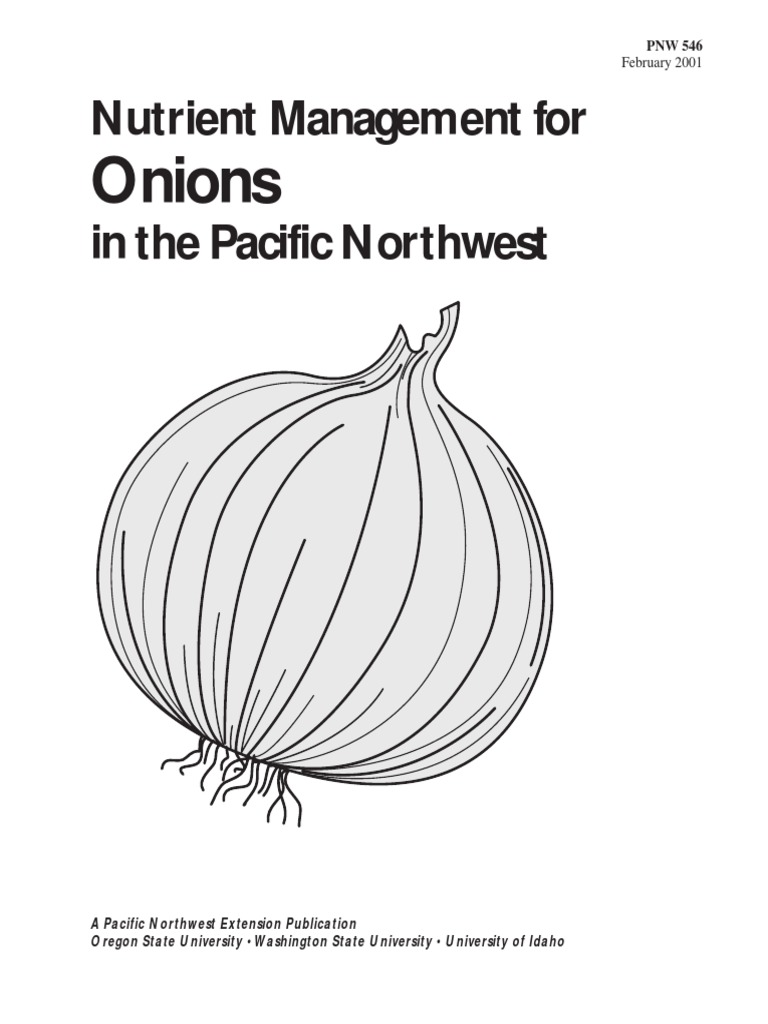 Onions Nutrient Management For in The Pacific Northwest PDF