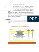 Caracterisiticas hidrolisis atp y glucolisis