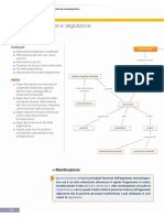 Anatomia 6