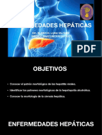 Patología: Enfermedades hepáticas