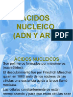6. ACIDOS NUCLEICO
