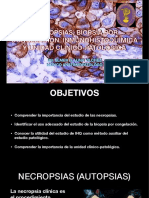 Patología: Autopsias, Biopsia Por Congelación, Inmunohistoquímica