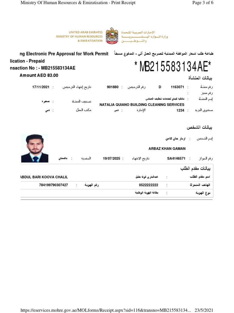 Work Permit Pre-Approval Receipt | PDF