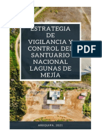 Estrategia Control y Vigilancia 2021 Rev