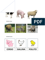 Animales Domésticos, Salvajes, de Granja, Aves