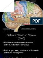 Sistema Nervioso Central