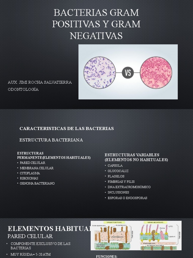 5 Bacterias Gram Positivas y Negativas | PDF | Las bacterias | Biología ...