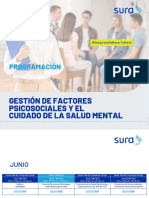 SALUD MENTAL JUNIO LINK