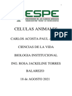 Informe Celulas Animales Acosta-Armas
