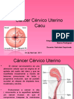 Cáncer Cérvico Uterino