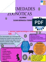 Enfermedades Zoonóticas