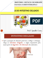 PATOLOGIAS DO INTESTINO DELGADO