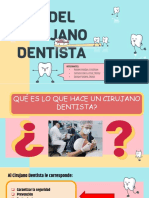 Rol Del Cirujano Dentista