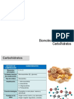 Clase Biomoléculas Orgánica - Carbohidratos