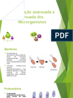 Reprodução Assexuada e Sexuada Dos Microrganismos