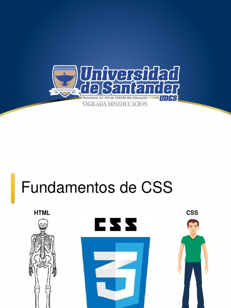 Fundamentos Esenciales de CSS | PDF | HTML | Ingeniería de software