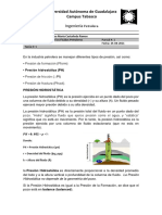 Tarea Presion Hidrostatica