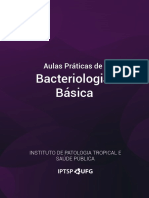 Bacteriologia Basica