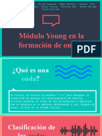 Modulo Young