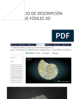 Práctica Descripción Fósiles 3D