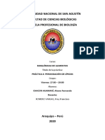 P4 Peroxidación de Lípidos