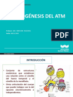 Clase - 10 - Embriogenesis de La Atm.2020 Ii