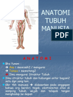 anatomi-130907072744-