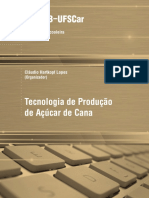 TS ClaudioLopez TecnologiaProdAcucar