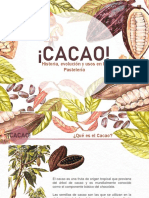 Historia, evolución y usos del cacao en pastelería