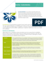 Macronutrients - Carbohydrates - Spanish