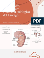 Embriología, Histología y Anatomía Quirúrgica Del Esófago