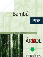 Bambu 1