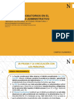 La prueba en el procedimiento administrativo y su vínculo con los principios del debido proceso