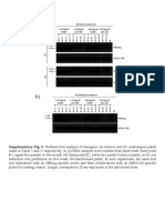 Supplementary Fig. 3. Northern Blot Analysis of Transgenic (A) Tobacco and (B) Arabidopsis Plants