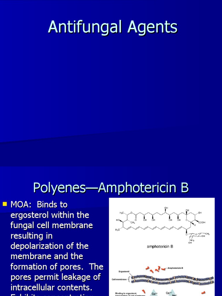 Antifungals PDF Medical Specialties Pharmaceutical Sciences