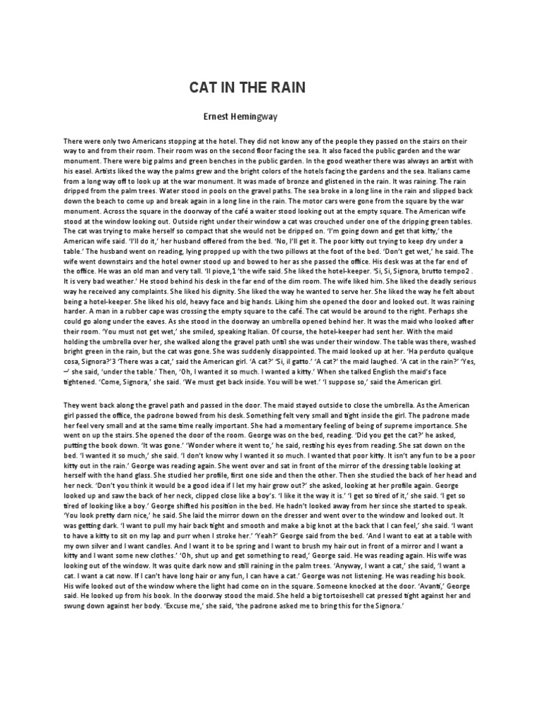 Cat in The Rain Ernest Hemingway PDF Poverty Poverty & Homelessness