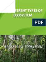 Types of Ecosystem Ppt