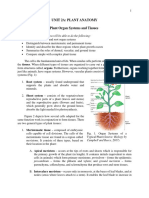 UNIT 2A - Plant Anatomy